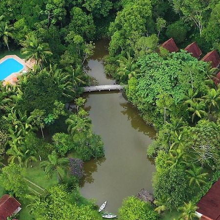 Pousada Salve Floresta タピライ エクステリア 写真