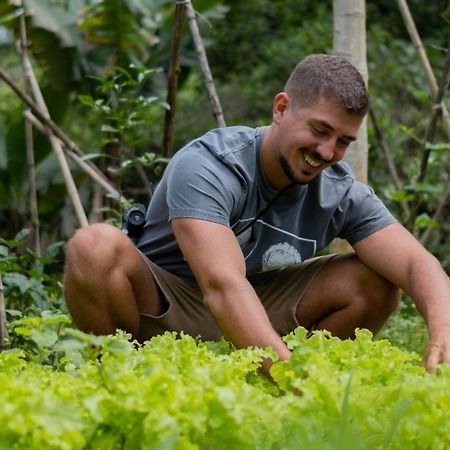 Pousada Salve Floresta タピライ エクステリア 写真