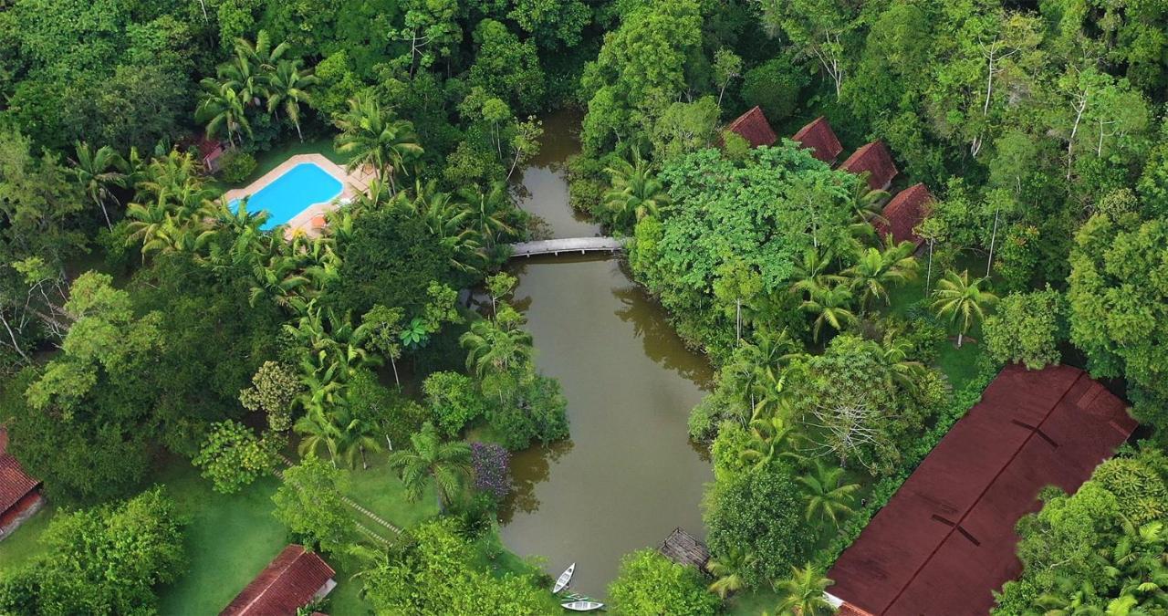 Pousada Salve Floresta タピライ エクステリア 写真