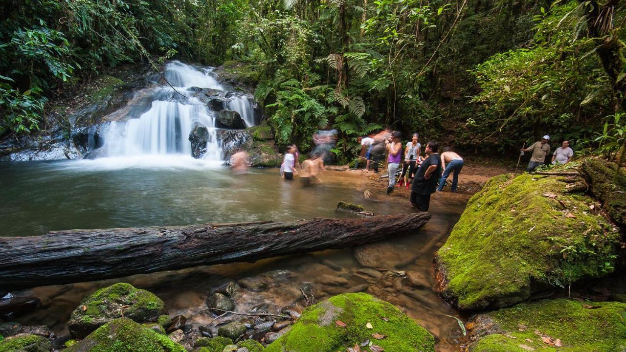 Pousada Salve Floresta タピライ エクステリア 写真