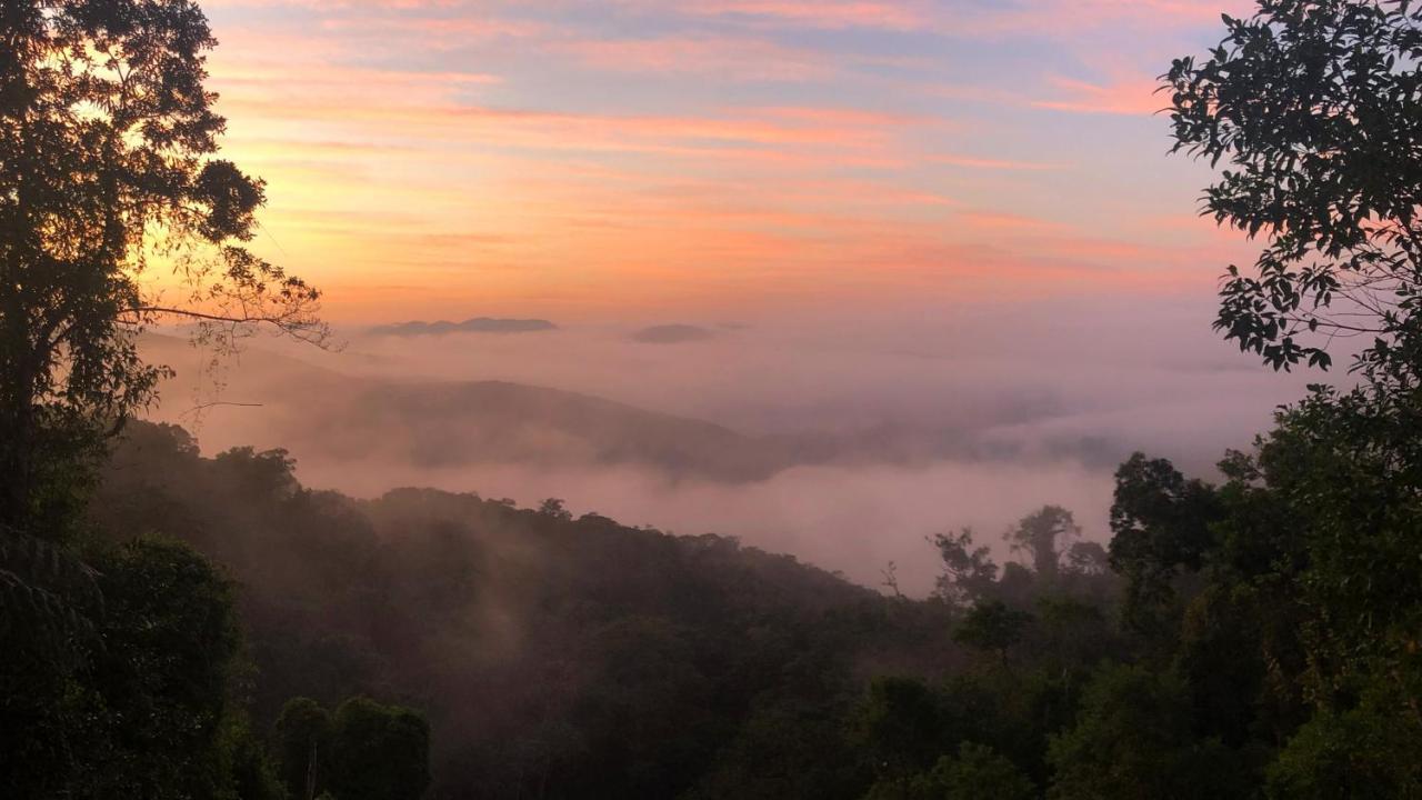 Pousada Salve Floresta タピライ エクステリア 写真