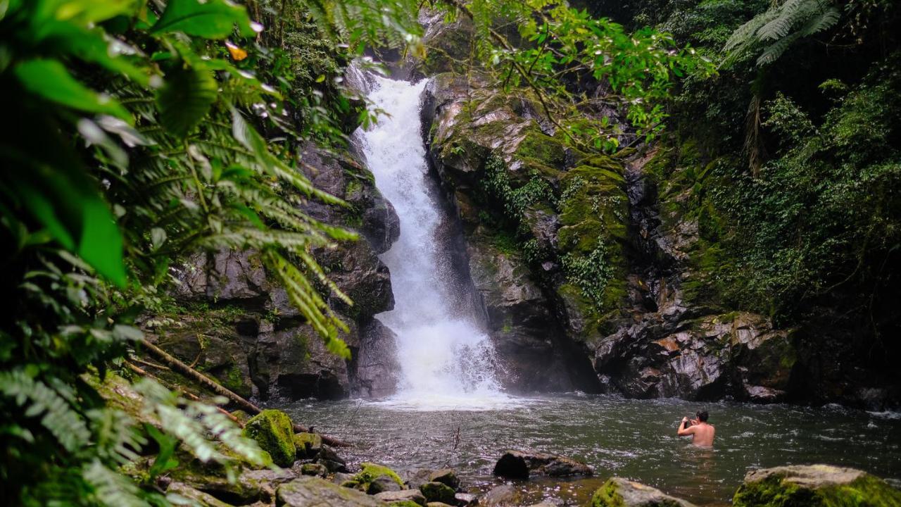 Pousada Salve Floresta タピライ エクステリア 写真