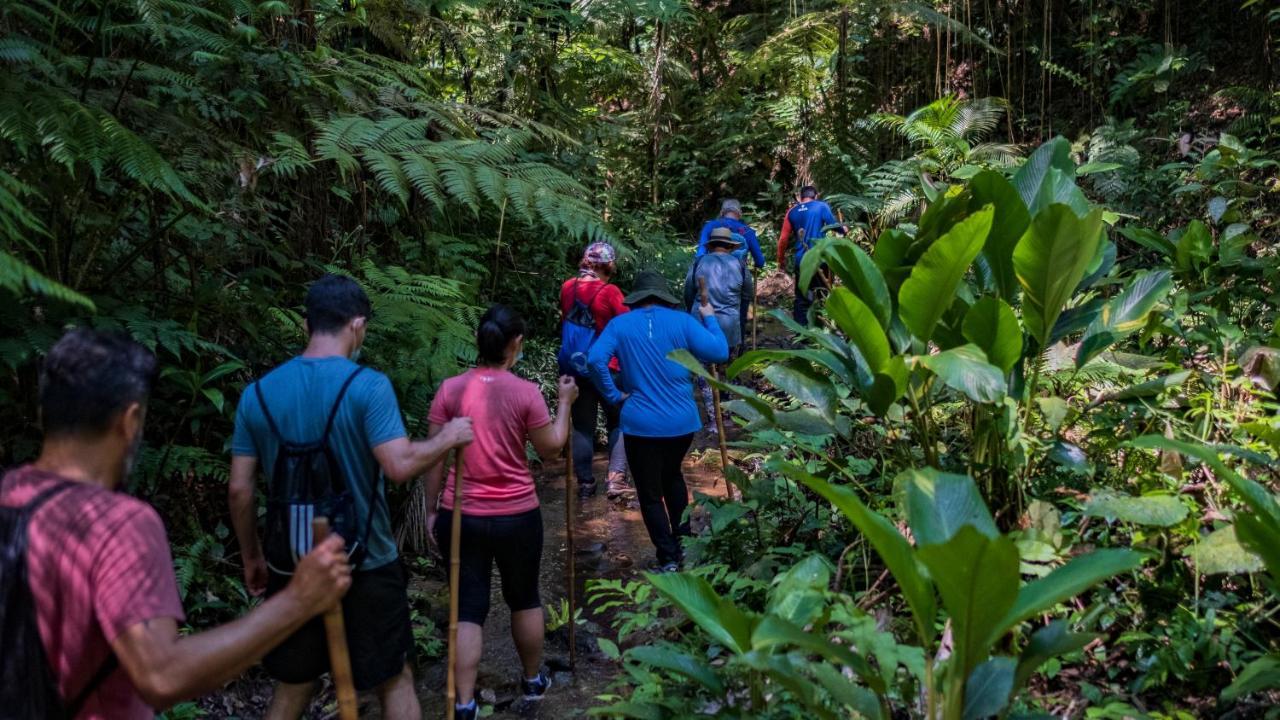 Pousada Salve Floresta タピライ エクステリア 写真